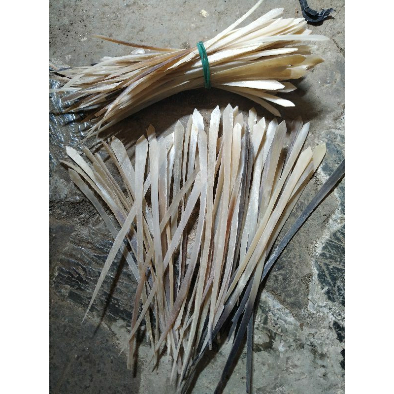 Tali Simpai tanduk kerbau bule harga per 10 pcs Tali simpay tanduk bule