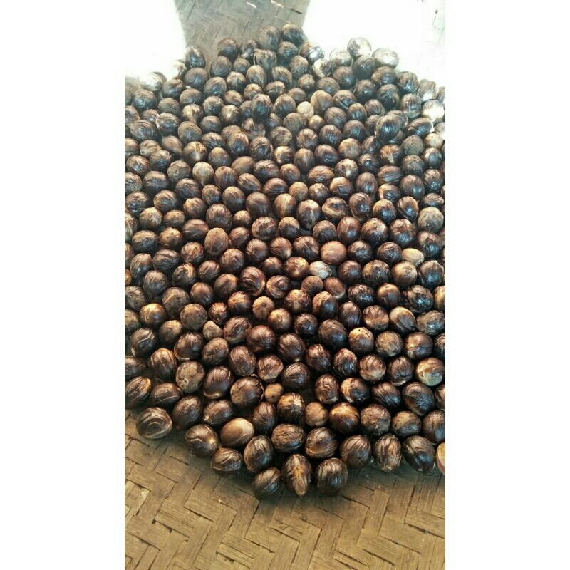 

Biji Pala Kering Kiloan