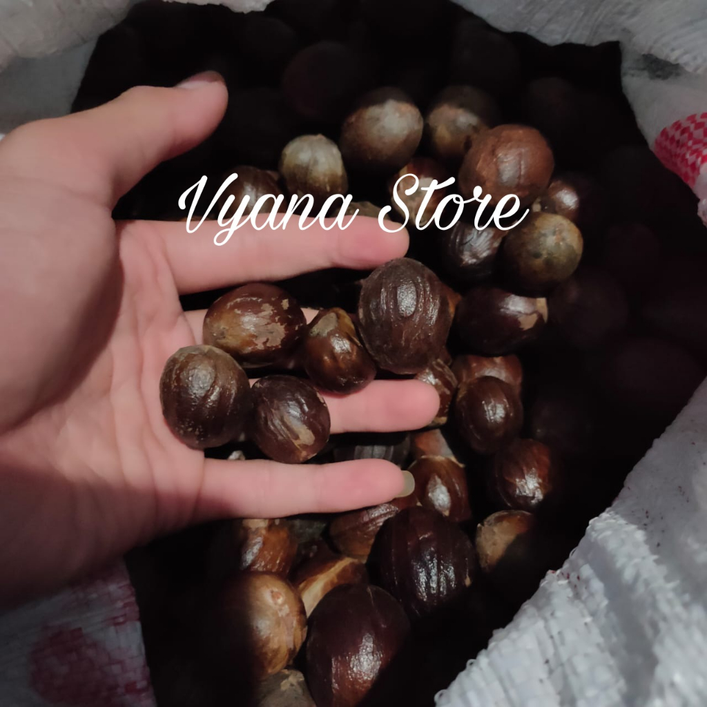 

Biji Pala Kering 1 kg - Buah Pala Kering