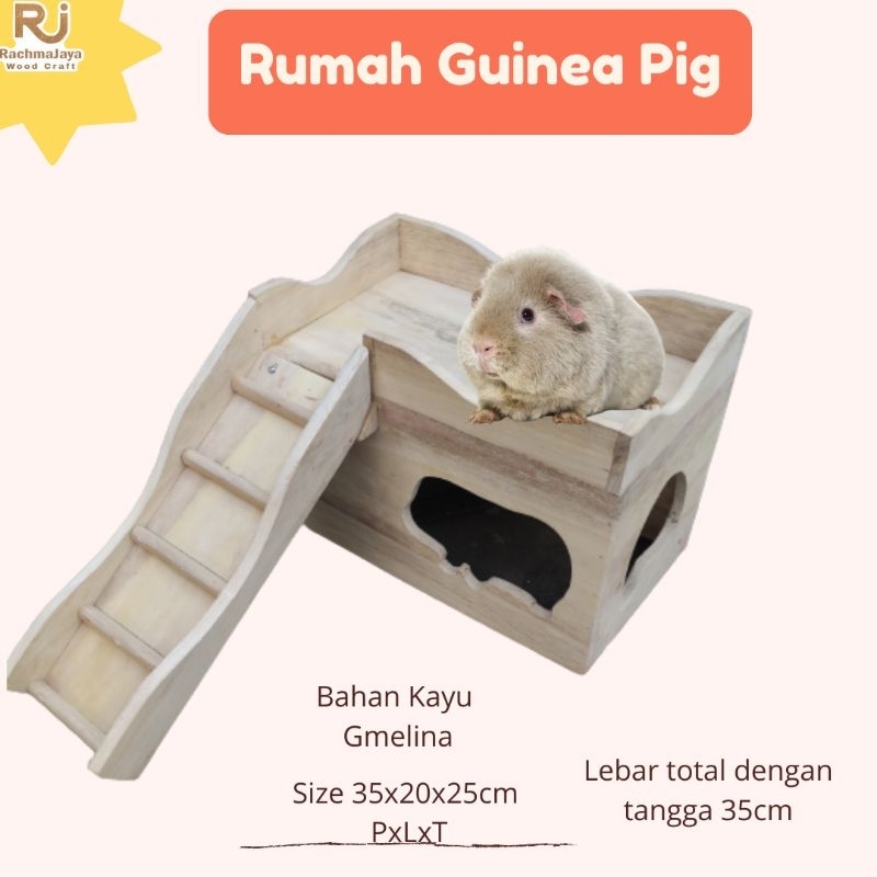 Rumah Marmut Rumah Guinea Pig Kandang Marmut Kayu