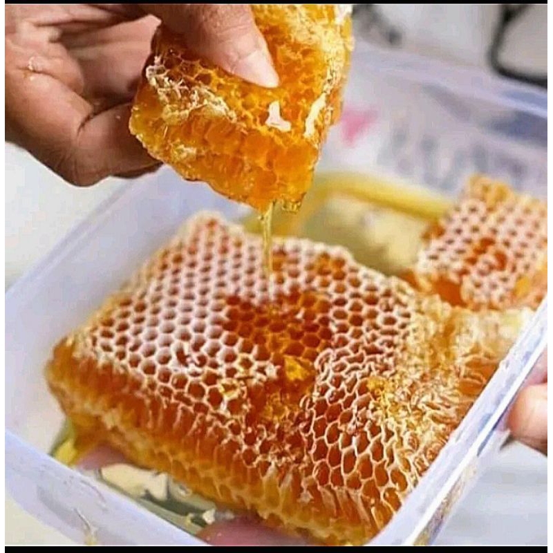 

250gram Sarang Madu Asli Carena/Melifera