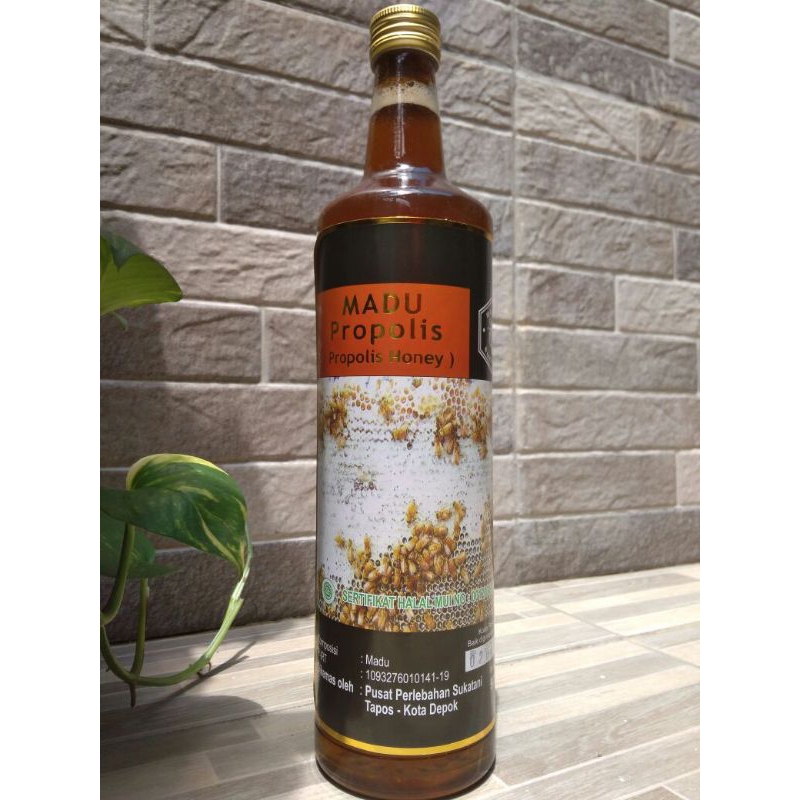 

Madu Propolis 900gr, Madu Sukatani, Madu Murni