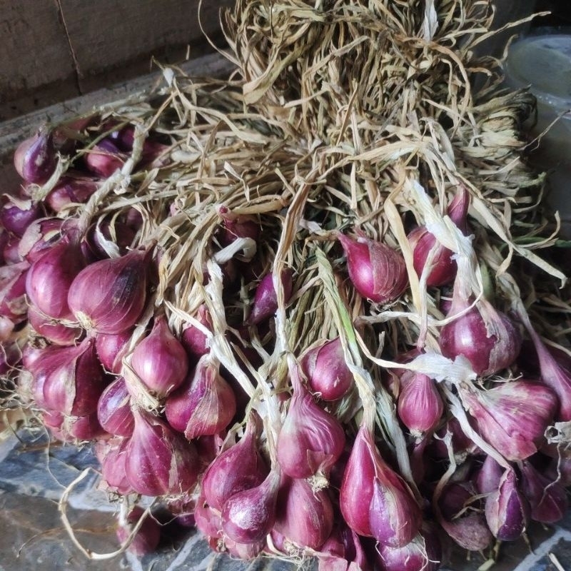 

Bawang merah Brebes