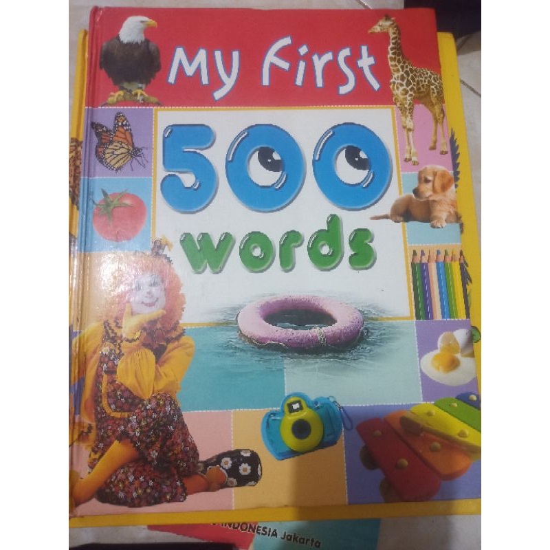 My first 500 words