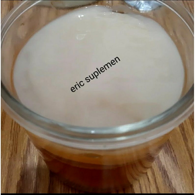 

jun tea scoby premium/asli jun tea scoby with starter 200ml.