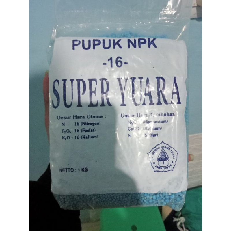 Pupuk NPK 16 termurah