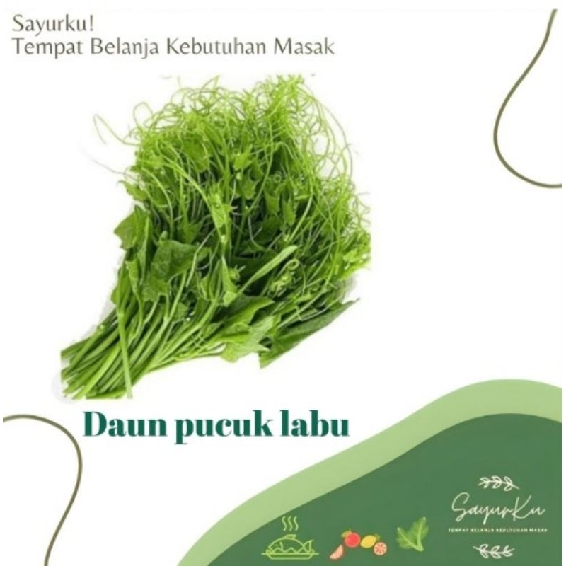 

Daun pucuk labu per ikat