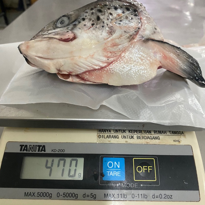 

kepala ikan salmon dan tulang tengah