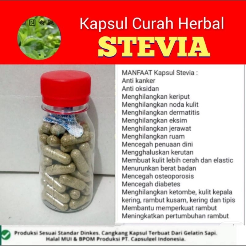 STEVIA 50 kapsul Curah Herbal Anti kanker Kemasan BOTOL