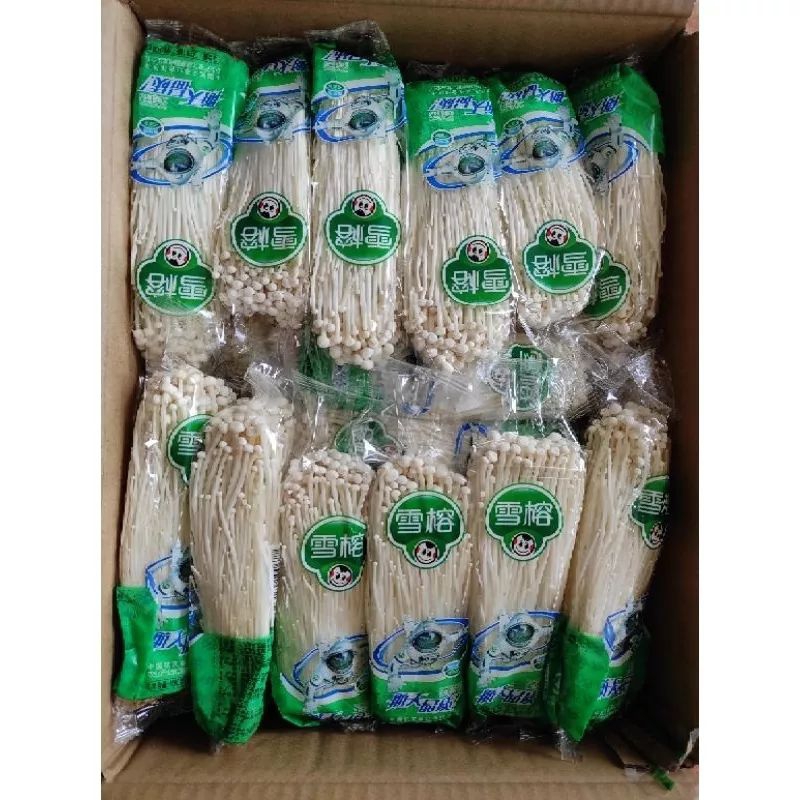

JAMUR ENOKI