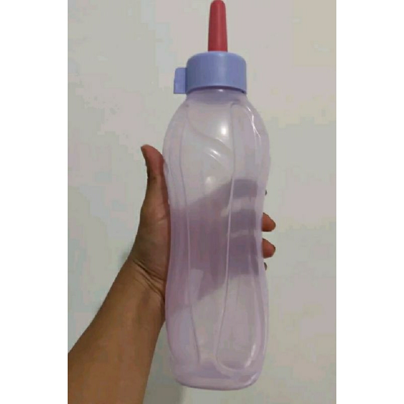 DOT Pedet/DOT anak sapi