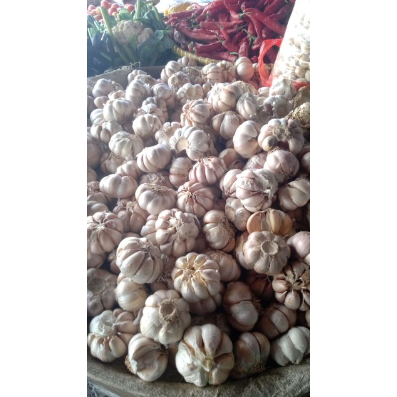 bawang putih 1kg