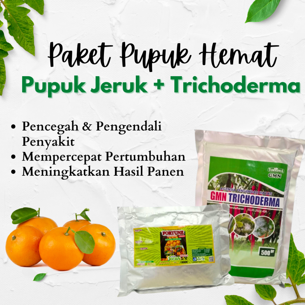 Pupuk Buah Jeruk, Pupuk Jeruk Nipis, Pupuk Hayati Jamur Trichoderma Obat Busuk Buah