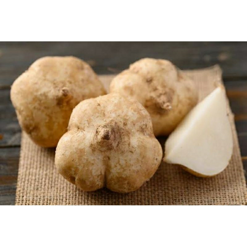 

bengkuang manis fresh 1kg