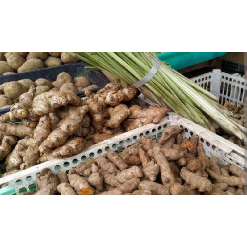 

empon2 empon2 segar/plastik sayuran segar