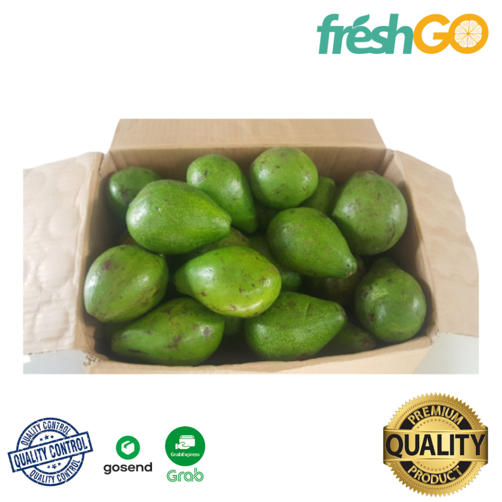 

[PAKET 3 KG] ALPUKAT MENTEGA REGULER FRESH GO