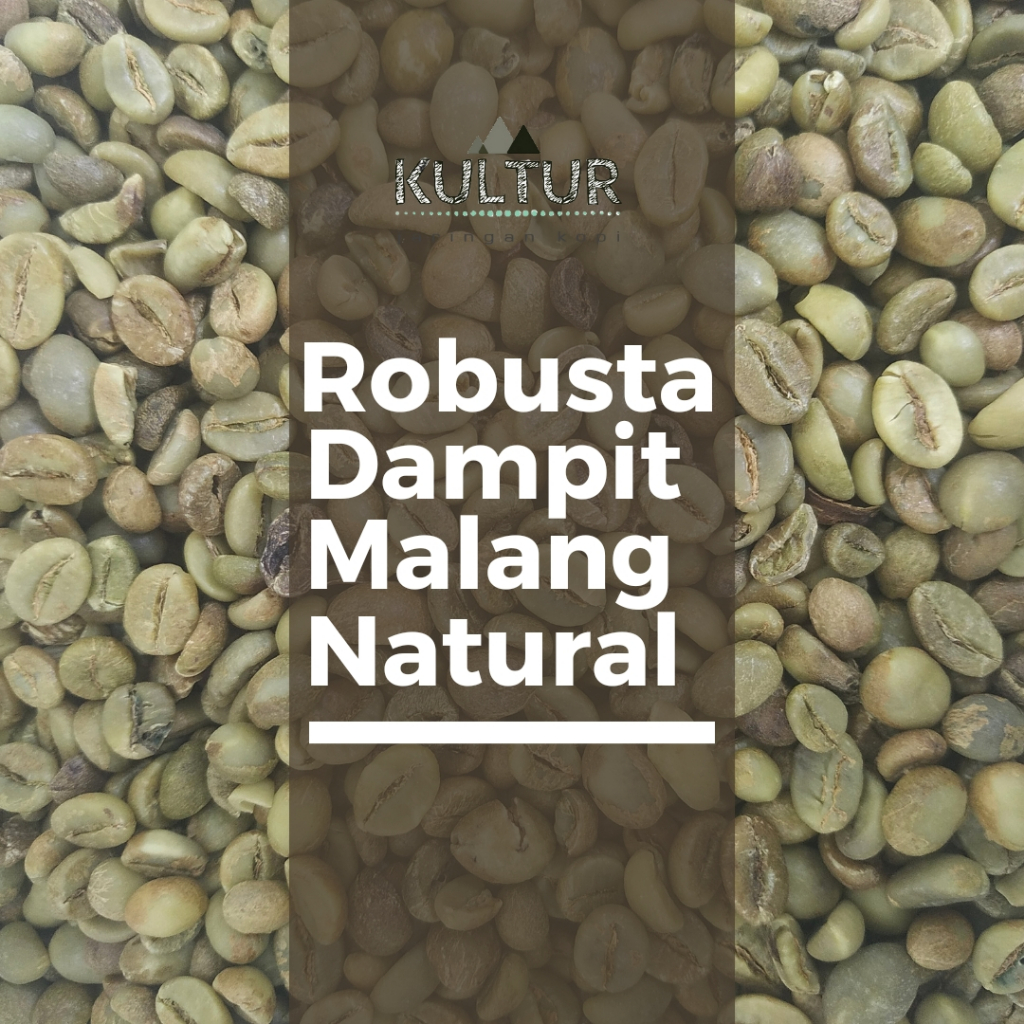 

GREEN BEAN ROBUSTA DAMPIT MALANG NATURAL BIJI KOPI MENTAH NETTO 500 GR