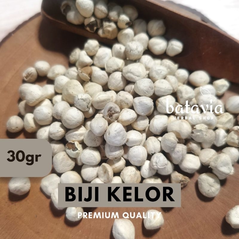 

Biji Kelor Kupas Moringa Seeds Kernel Kelor Premium Herbs Time