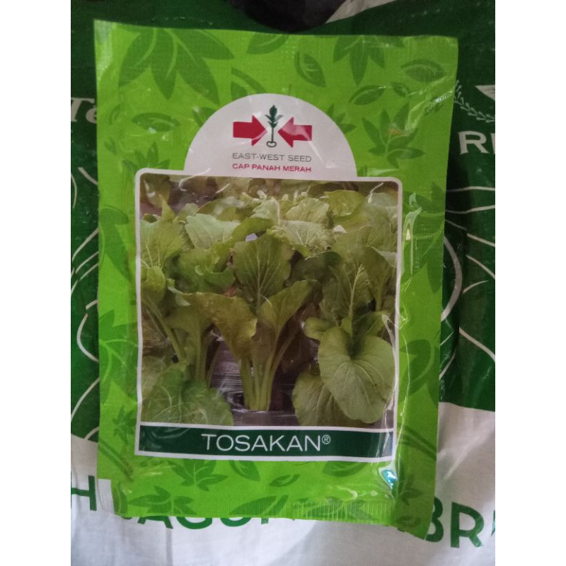 Benih Sawi Tosakan
