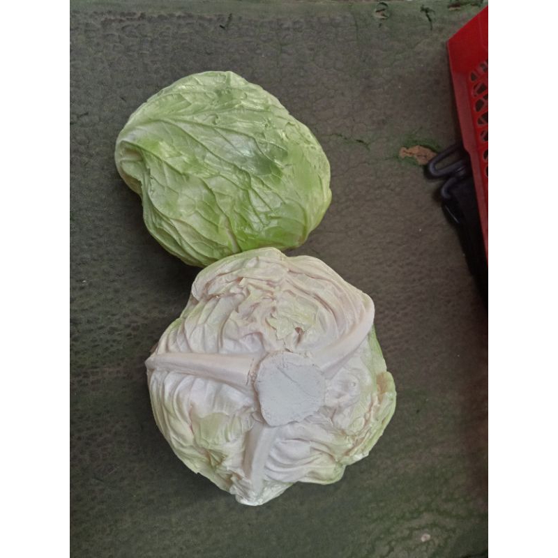 

replika kol/replika sawi putih/dummy sayuran/dummy food