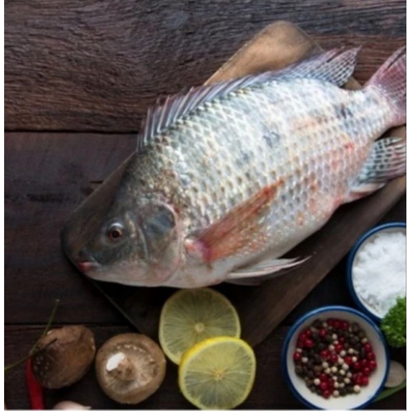 

IKAN MUJAIR FRESH GRADE A-1Kg / ANEKA IKAN LAUT SEGAR / SEAFOOD / IKAN LAUT SEGAR