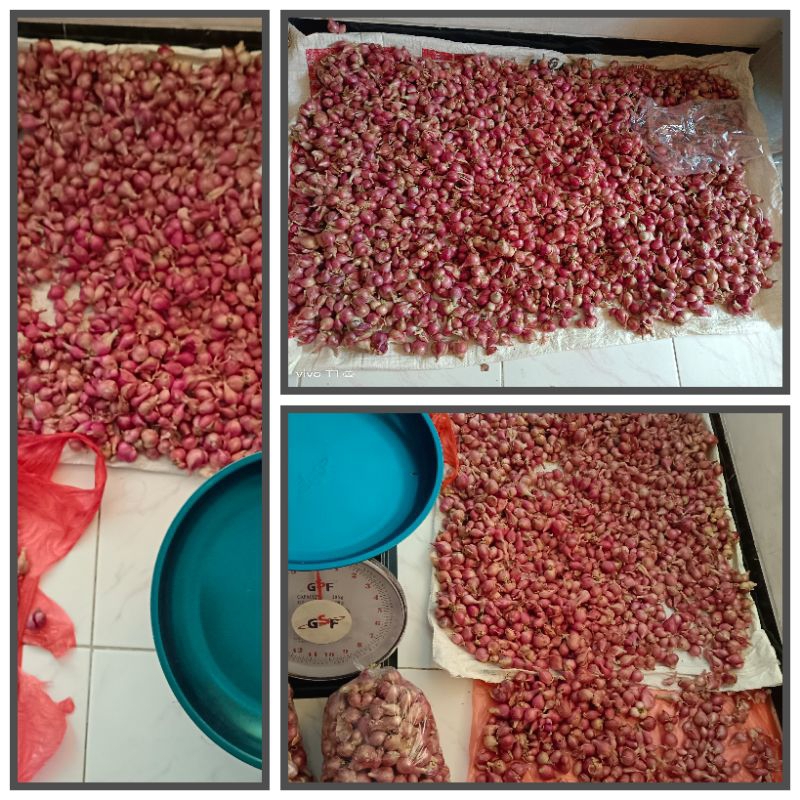 

Bawang Merah Lokal