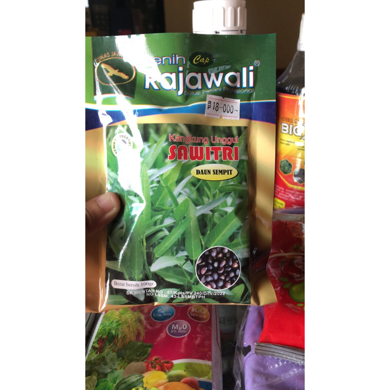 Benih kangkung Rajawali 100gr