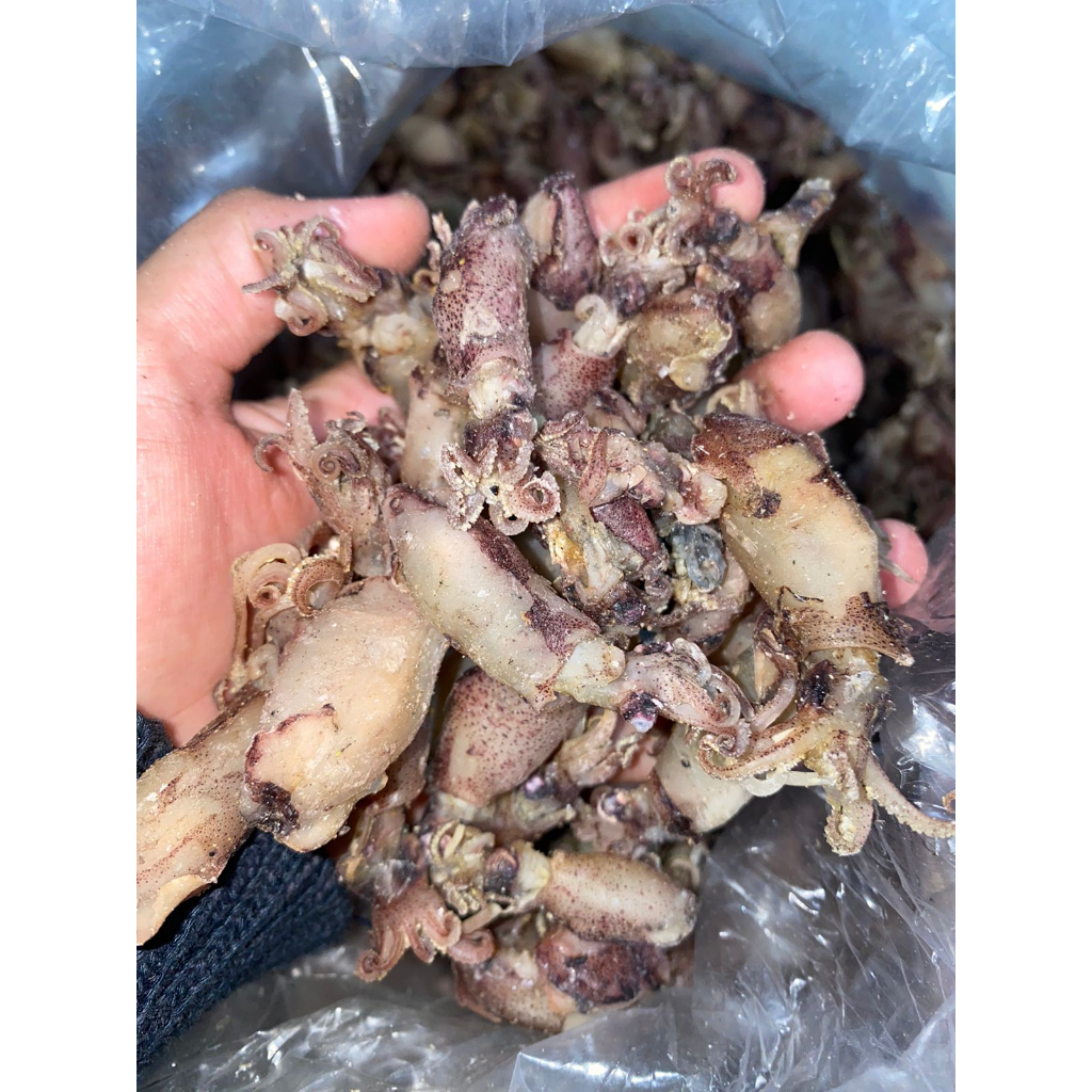 

Baby Cumi Asin Asli Bangka