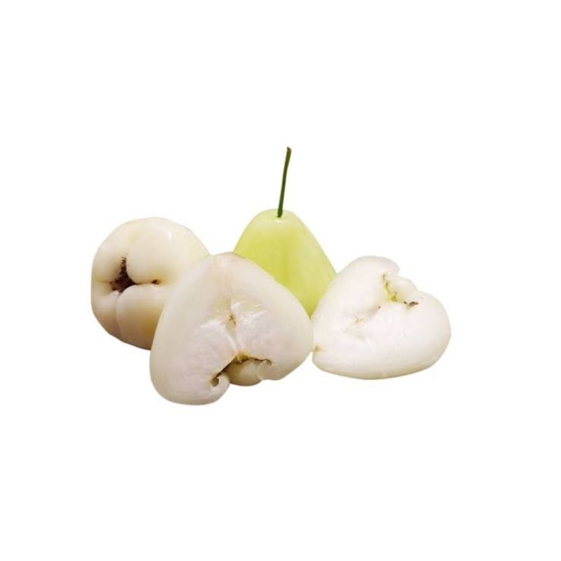 

JAMBU AIR 1 KG / BUAH BUAH AN SEGAR