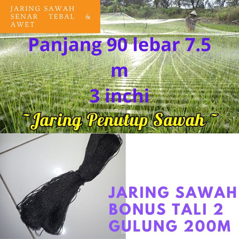 Jaring burung jaring pengaman padi Jaring EMPRIT JARING SAWAG 7,5X 90 METER