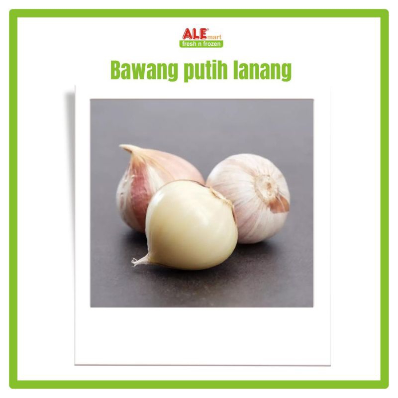

Bawang putih lanang, bawang putih tunggal, bawang putih