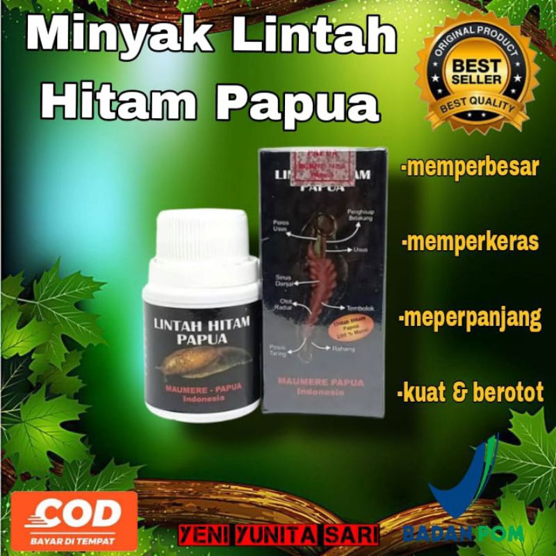 minyak lintah hitam papua asli 100% original bpom minyak pembesar