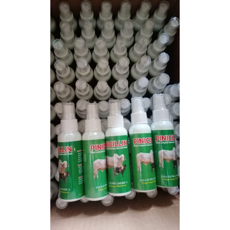 pinisilin spray 1lusin isi 12