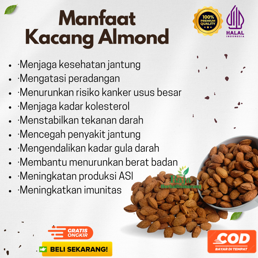 

Snack Kacang Almond Kulit Panggang Premium Rasa Butter Milk Khas Arab Saudi Renyah Makanan Khas Oleh Oleh Haji dan Umroh