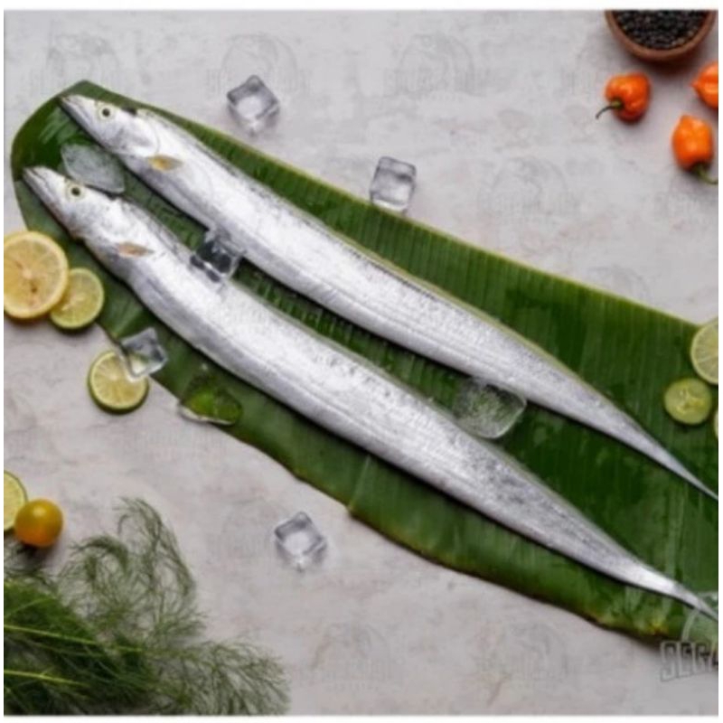

IKAN LAYUR FRESH Berkualitas GRADE A - 1Kg / ANEKA IKAN LAUT SEGAR / IKAN SEGAR SUPER / SEAFOOD