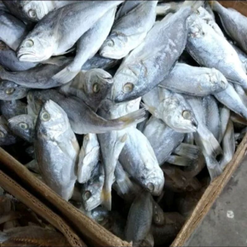 

Ikan Asin Kepala Batu Khas Medan 1 kg