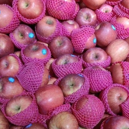 

APEL MERAH PERKILO / 1KG /1000 GR