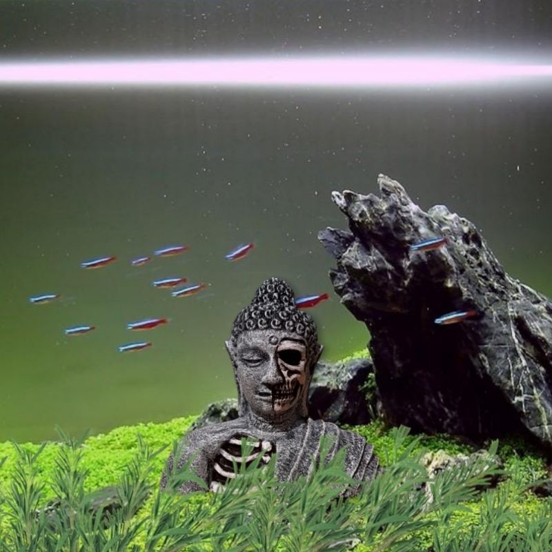 hiasan aquarium budha dekorasi aksesoris diorama miniatur bonsai miniatur tengkorak skull patung paj