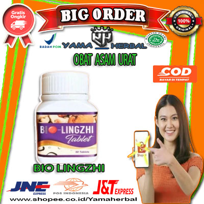 

Bio Lingzhi Original Obat Ginjal Asam Urat Herbal Bpom Biolingzhi Asli