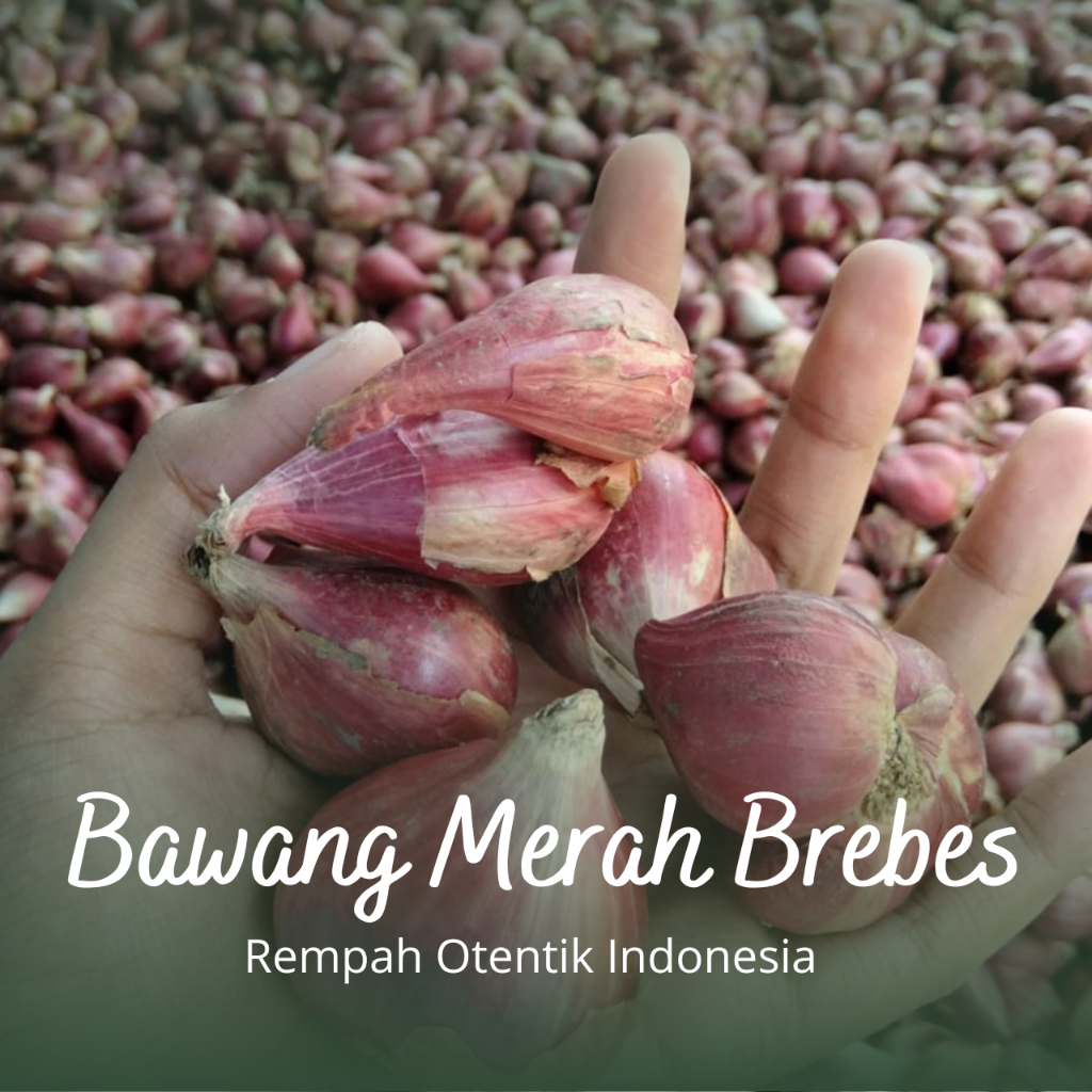 Bawang Merah Brebes / Bawang Merah Brebes Super Besar / Bawang Merah Brebes Super 1KG