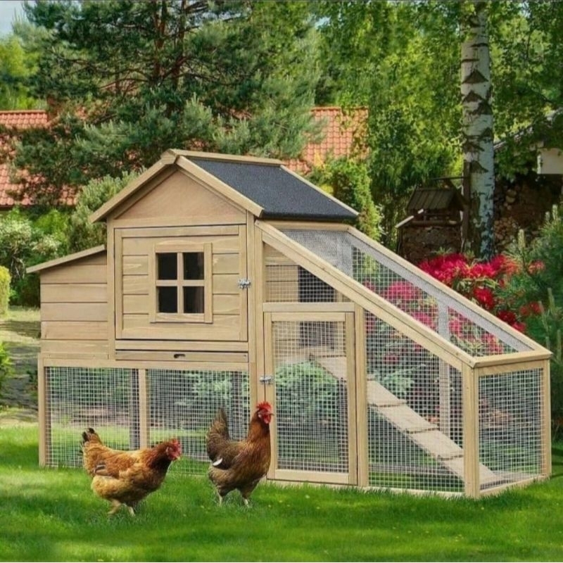 kaso kayu pinus S4S 150x6x4cm amplas halus