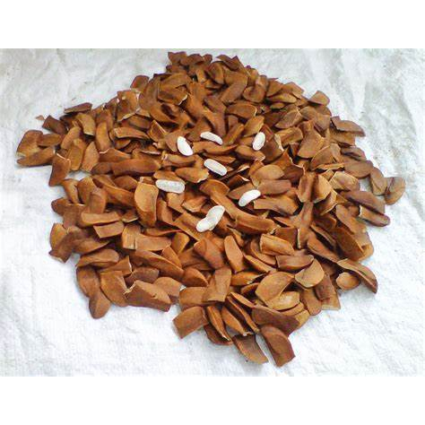 

Biji Mahoni (500 gram) / Mahogany seeds / Sky Fruit Seed / Xiang Tian Guo / Swietenia macrophylla
