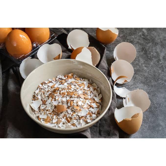 Grit Merpati Cangkang Telur Remisan Burung Merpati