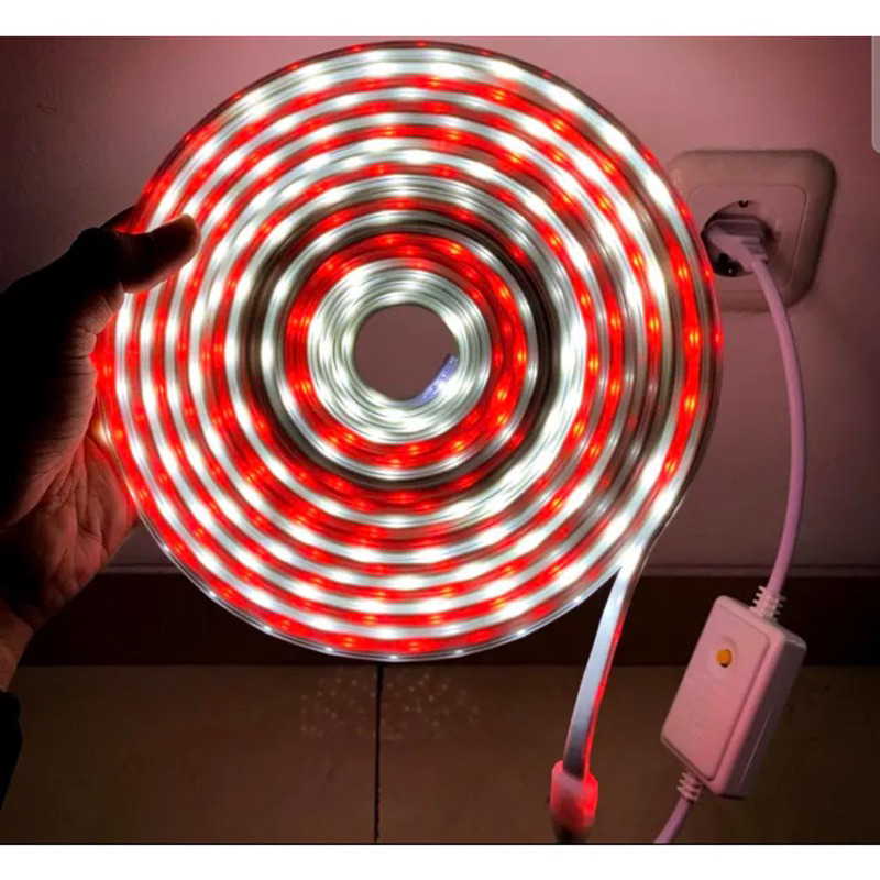 LAMPU LED STRIP SELANG WARNA WARNI / MERAH PUTIH + ADAPTOR  5050 OUTDOOR RGB LAMPU NATAL MERAH PUTIH