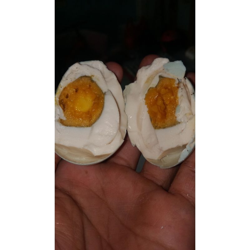 

telorasin2putriasliwonhbrebes