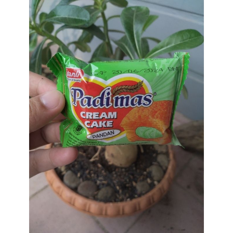 

PADIMAS CREAM CAKE isi 10pcs PACK / ROTI