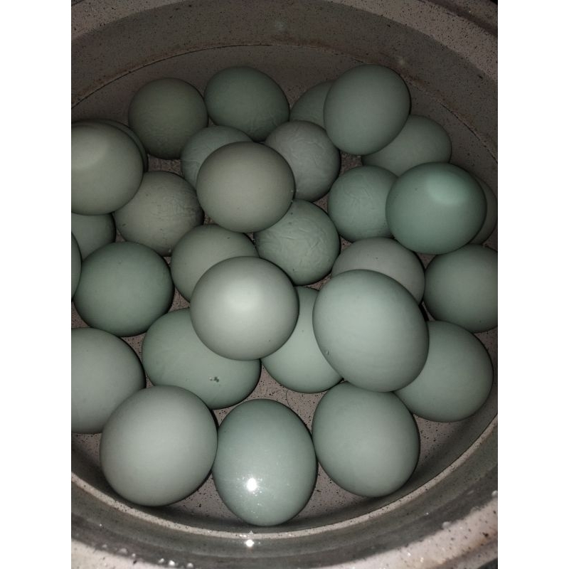 

Telur Asin Istimewa
