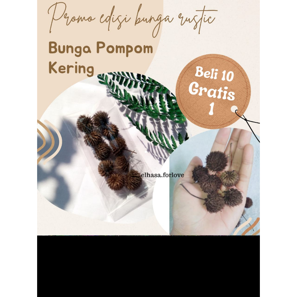 Bunga Pompom Kering / Bunga Kering / Dried Flower Aesthetic