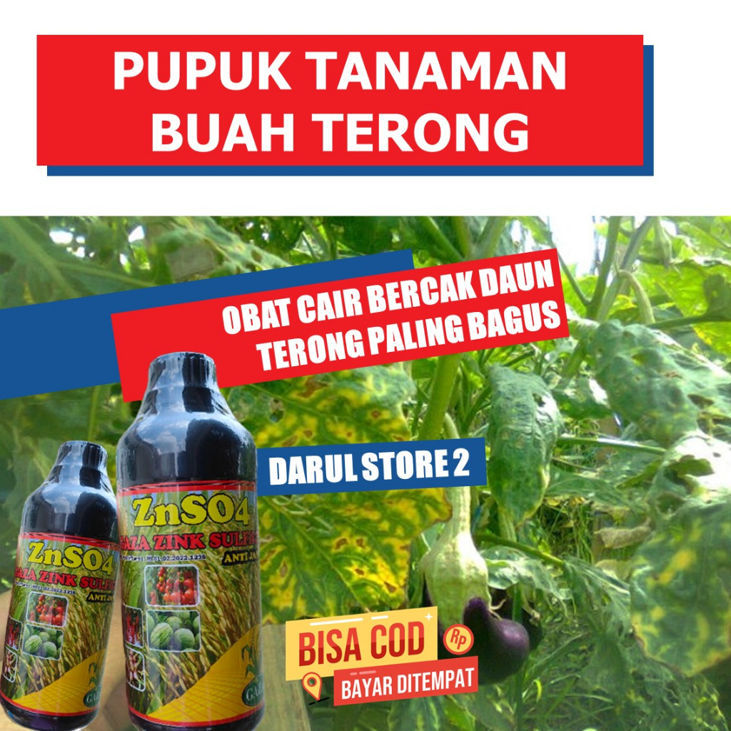 PUPUK Fungisida Tanaman Terong Ungu ZNSO Mencegah akar busuk Buah Terong Ungu, Obat Cair Organik ZSN