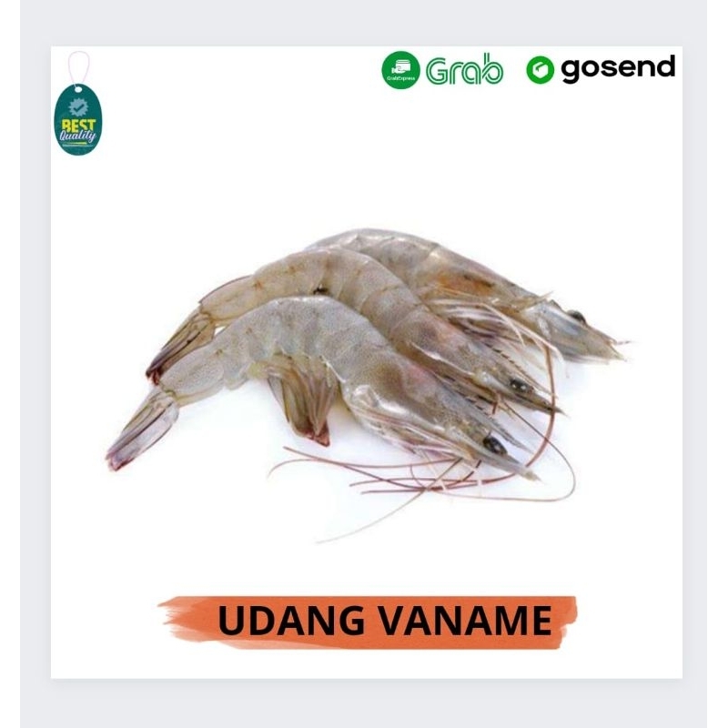 

Udang Vaname Besar - 500gr